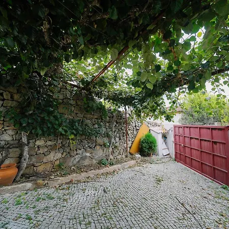 펜션 4bdr Park- Fam & Friends 알리조